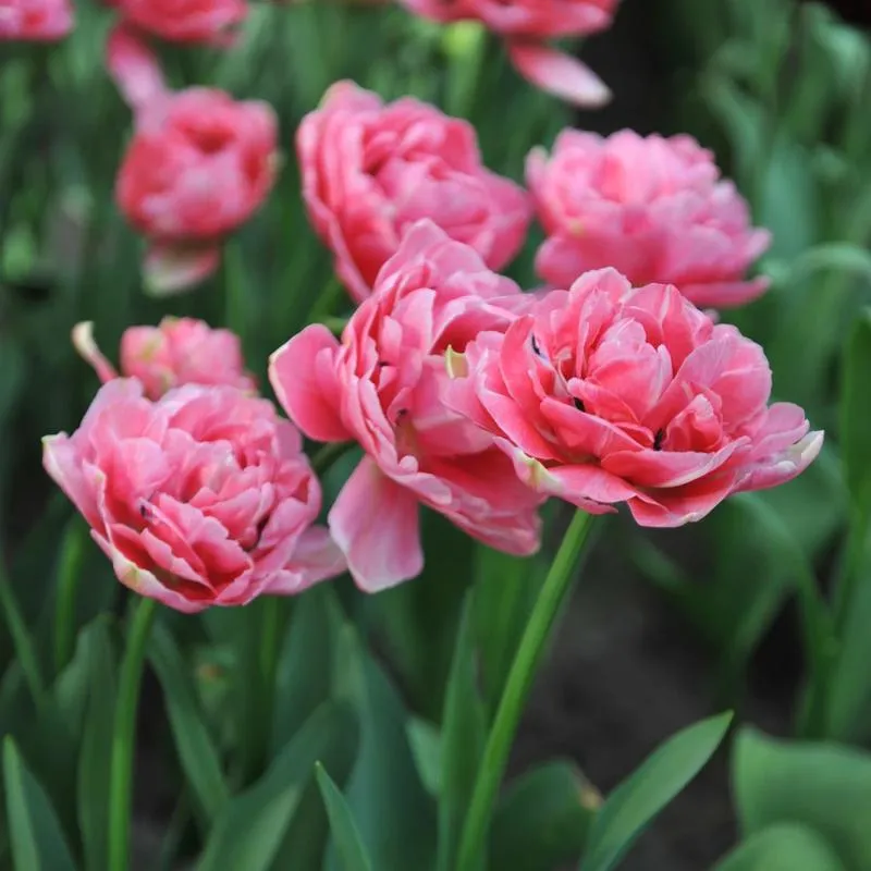 Emocje w muzyce filmowej