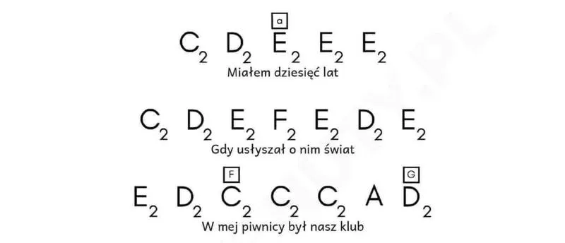 Gra na gitarze dla początkujących
