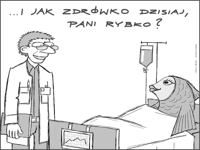 Interpretacja emocji w tekstach utworów