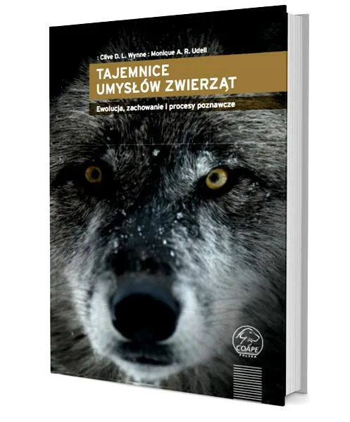 Interpretacje tekstu