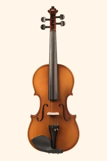 Kosztowne oszustwa skrzypiec