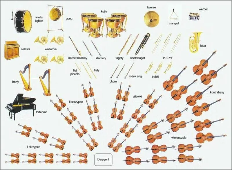 Orkiestry symfoniczne